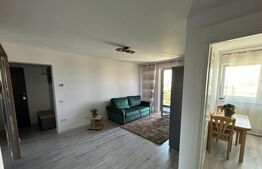 Apartament 1 camera de inchiriat, zona Frumoasa