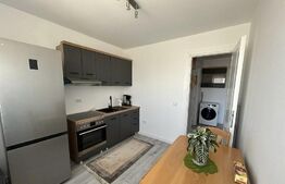 Apartament 1 camera de inchiriat, zona Frumoasa