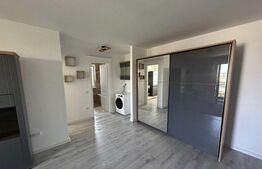 Apartament 1 camera de inchiriat, zona Frumoasa