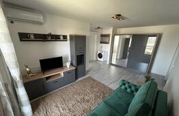 Apartament 1 camera de inchiriat, zona Frumoasa