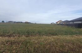 Teren intravilan, 15000mp, D+P+1+2, Vorovesti