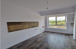 Apartament 1 camera 44.7 mp, Moara de Vant