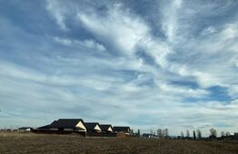 Teren intravilan, 5000 mp, Vorovesti