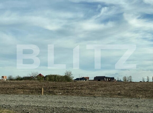 Teren de vânzare Vorovesti - 130379TV | BLITZ Iași | Poza5