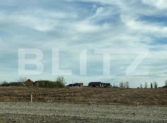 Teren de vânzare Vorovesti - 130379TV | BLITZ Iași | Poza6
