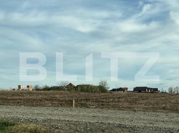 Teren de vânzare Vorovesti - 130379TV | BLITZ Iași | Poza4