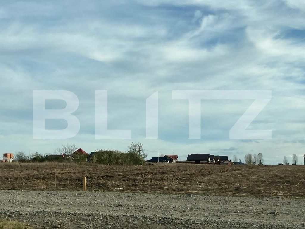 Teren de vânzare Vorovesti - 130379TV | BLITZ Iași | Poza5