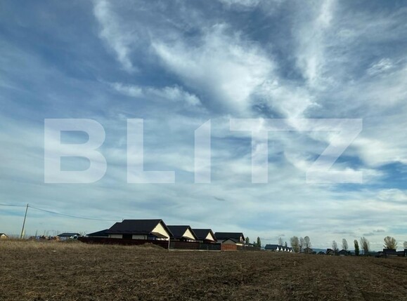 Teren de vânzare Vorovesti - 130381TV | BLITZ Iași | Poza2