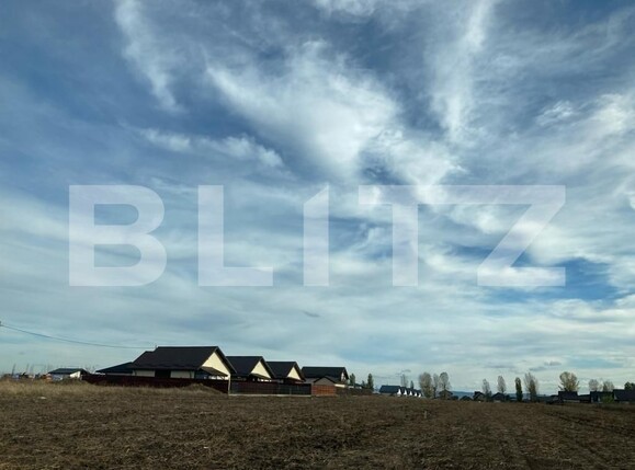 Teren de vânzare Vorovesti - 130381TV | BLITZ Iași | Poza3