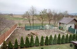 Casa 4 camere, 200 mp util, 1300 mp teren, Sculeni