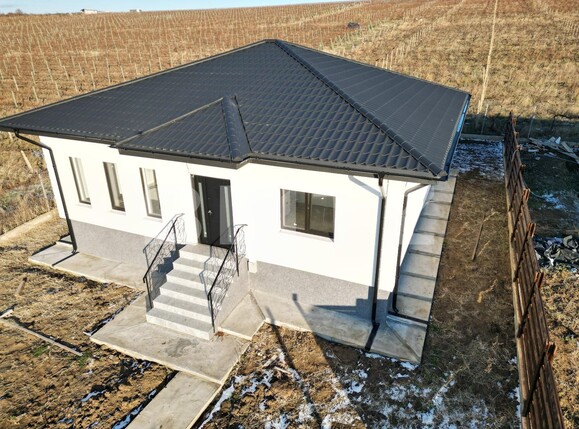 Casa de vânzare 3 camere Visani - 131477CV | BLITZ Iași | Poza1