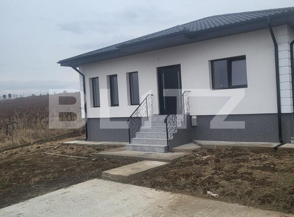 Casa de vânzare 3 camere Visani - 131477CV | BLITZ Iași | Poza2