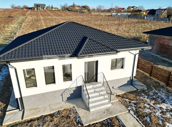 Casa de vânzare 3 camere Visani - 131477CV | BLITZ Iași | Poza3