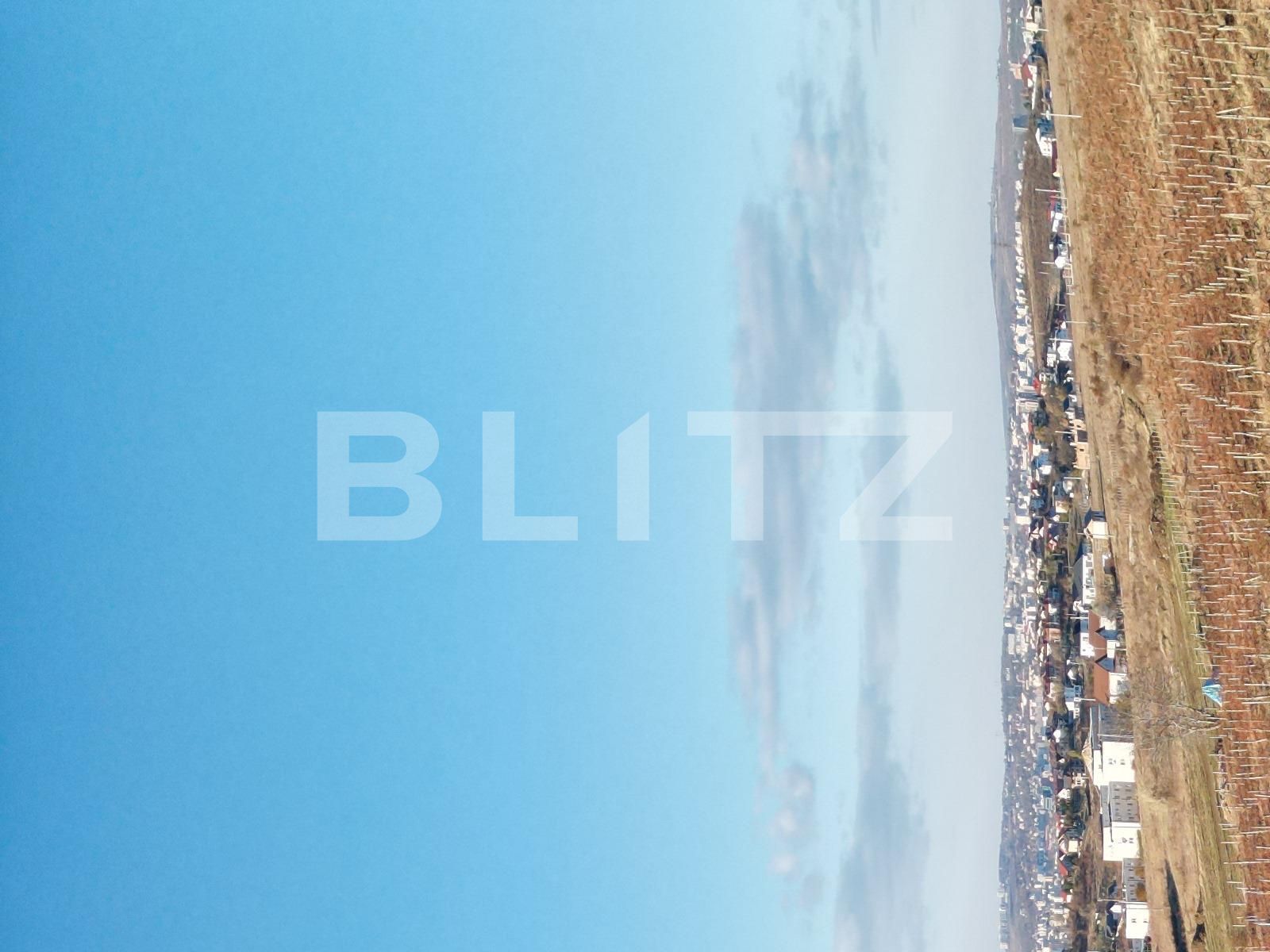 Casa de vânzare 3 camere Visani - 131477CV | BLITZ Iași | Poza4