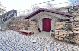 Casa vanatoreasca 4 camere, 127mp, in Bogonos