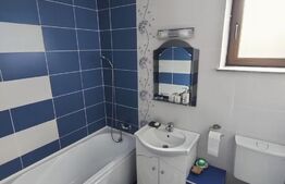 Casa vanatoreasca 4 camere, 127mp, in Bogonos