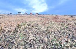 Parcele teren, 450 mp, constructie case, langa Dedeman Valea Lupulu