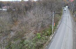 Teren, 1200mp, strada principala Barnova