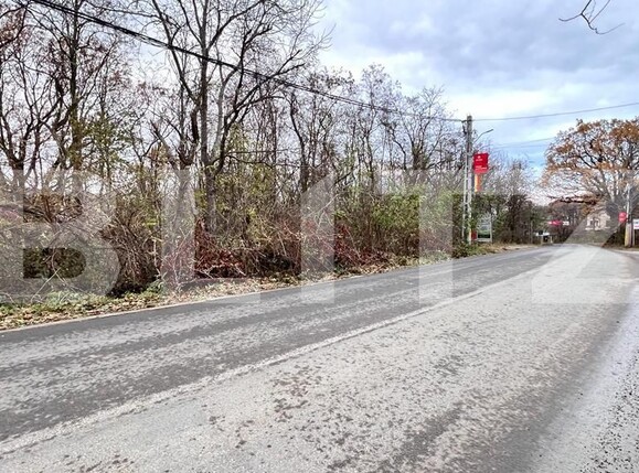 Teren de vânzare Barnova  - 131577TV | BLITZ Iași | Poza3