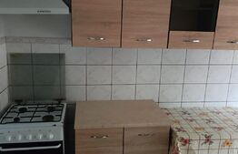 Casa 4 camere, 120 mp utili, langa biserica Sf. Vasile Miroslava