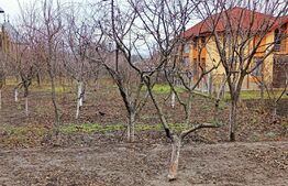 Casa 4 camere, 120 mp utili, langa biserica Sf. Vasile Miroslava