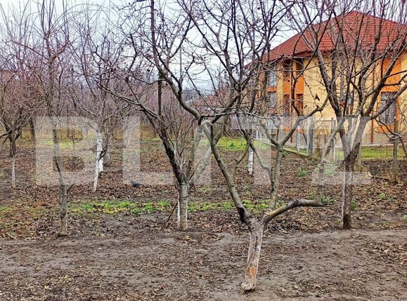 Casa de vânzare 4 camere Miroslava - 131668CV | BLITZ Iași | Poza4