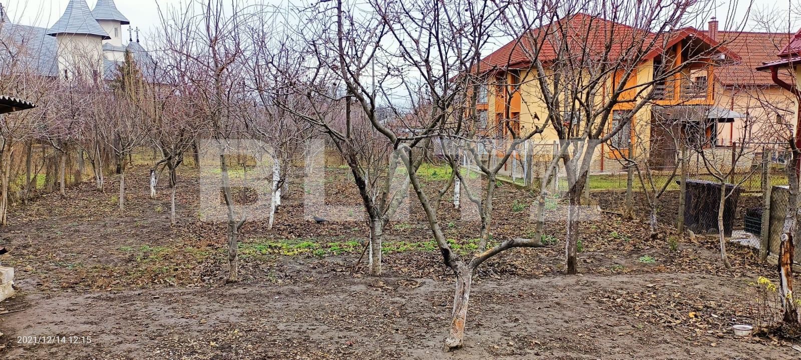 Casa de vânzare 4 camere Miroslava - 131668CV | BLITZ Iași | Poza4