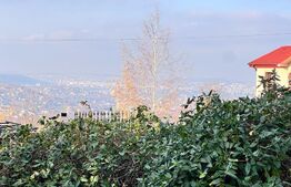 Casa 4 camere, 165mp, Bucium