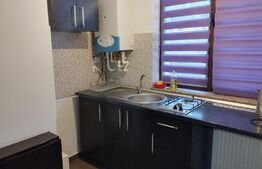 Apartament 1 camera, 25mp, zona Palas Mall