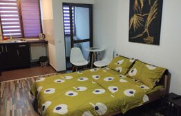 Apartament 1 camera, 25mp, zona Palas Mall