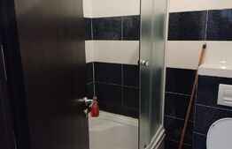 Apartament 1 camera, 25mp, zona Palas Mall