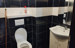 Apartament 1 camera, 25mp, zona Palas Mall