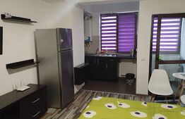 Apartament 1 camera, 25mp, zona Palas Mall