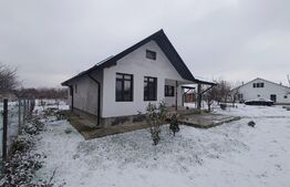 Casa 3 camere, 116 mp, 650 mp teren, Sculeni