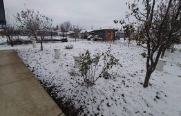 Casa 3 camere, 116 mp, 650 mp teren, Sculeni