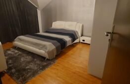 Casa 5 camere, 120 mp util, 520 mp teren, Lunca Cetatuii