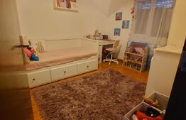 Casa 5 camere, 120 mp util, 520 mp teren, Lunca Cetatuii