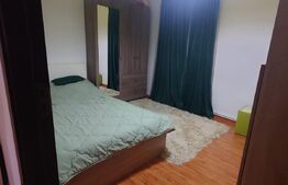 Casa 5 camere, 120 mp util, 520 mp teren, Lunca Cetatuii