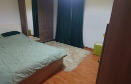 Casa 5 camere, 120 mp util, 520 mp teren, Lunca Cetatuii