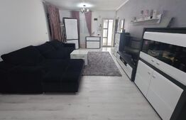 Casa 5 camere, 120 mp util, 520 mp teren, Lunca Cetatuii