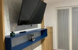 Apartament de 2 camere, Pacurari Decomandat