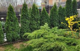 Casa premium 6 camere, 274 mp util, 440 mp teren, Hlincea