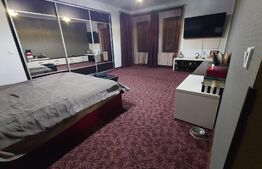 Casa premium 6 camere, 274 mp util, 440 mp teren, Hlincea