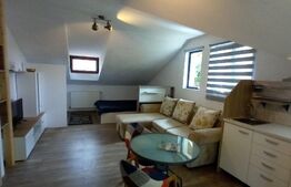 Apartament de 1 camera, 40mp, zona Centrala