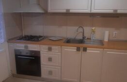 Apartament 2 camere, 50mp, decomandat, zona Garii
