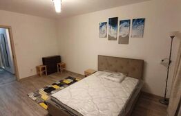 Garsoniera, 27mp, zona Garii