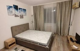 Garsoniera, 27mp, zona Garii