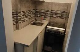 Garsoniera, 27mp, zona Garii