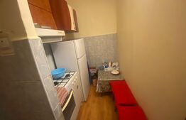 Camera de camin, 16mp, zona Jumbo