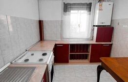 Apartament de 3 camere, 48MP, Pacurari
